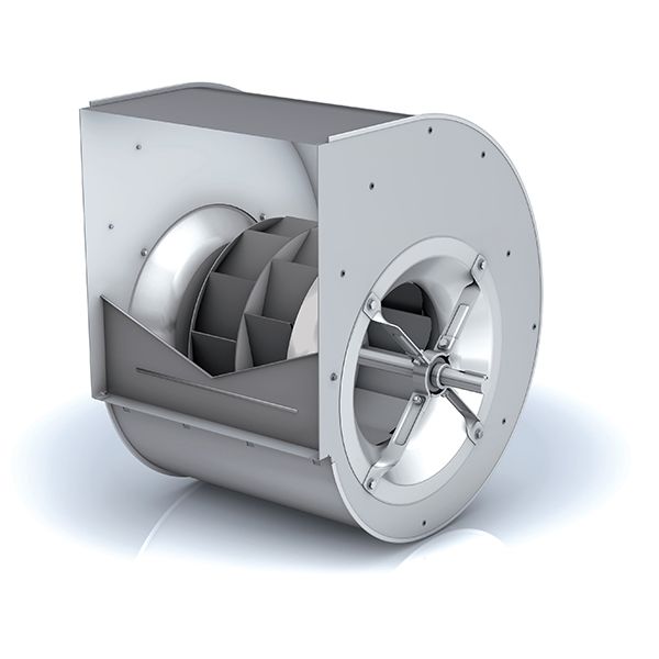 山东香蕉91视频APP下载