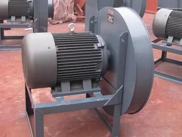 山东香蕉91视频APP下载厂家