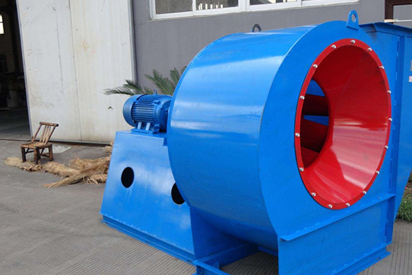 山东香蕉91视频APP下载