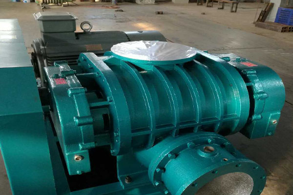 山东香蕉91视频APP下载