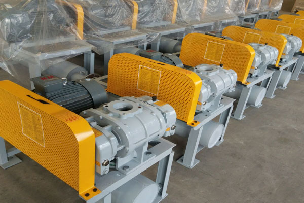 山东香蕉91视频APP下载