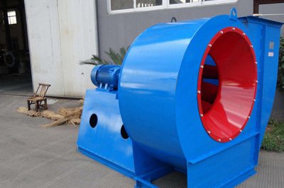 山东香蕉91视频APP下载