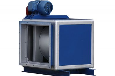 山东香蕉91视频APP下载