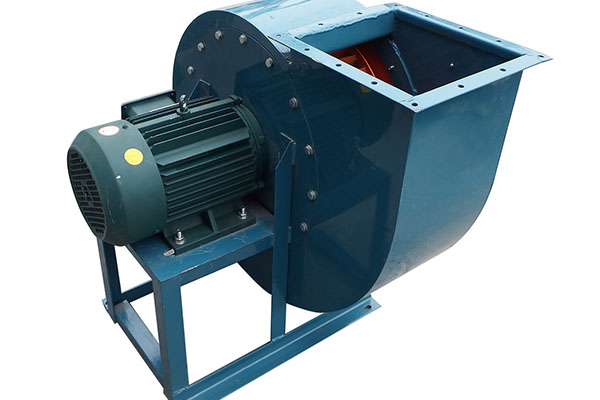 山东香蕉91视频APP下载