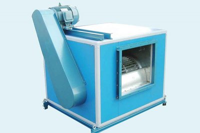 山东香蕉91视频APP下载