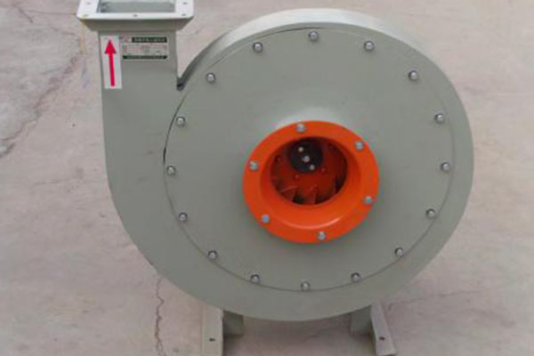 济南香蕉91视频APP下载