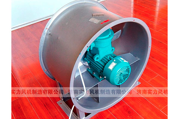 山东香蕉91视频APP下载