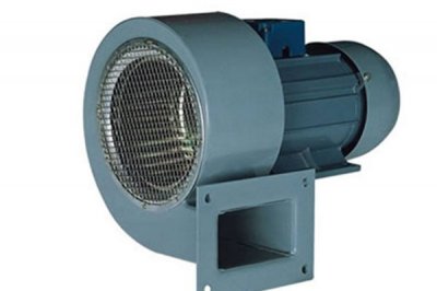 山东香蕉91视频APP下载