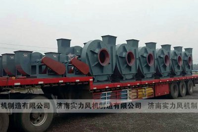 山东香蕉91视频APP下载