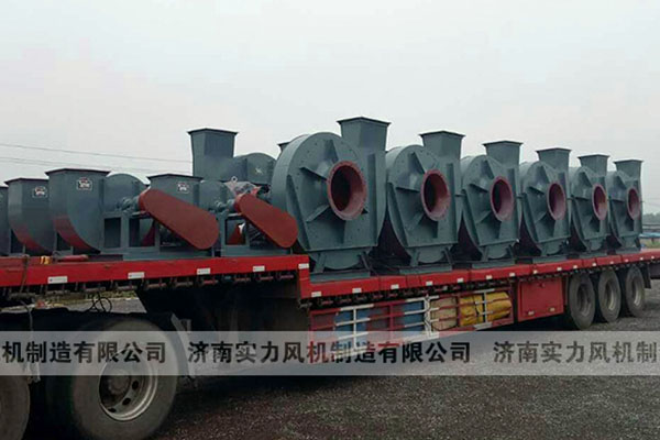 山东香蕉91视频APP下载