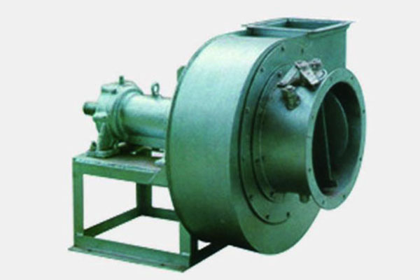 山东香蕉91视频APP下载