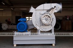 济南香蕉91视频APP下载,济南防腐香蕉91视频APP下载