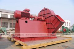 济南香蕉91视频APP下载,山东香蕉91视频APP下载