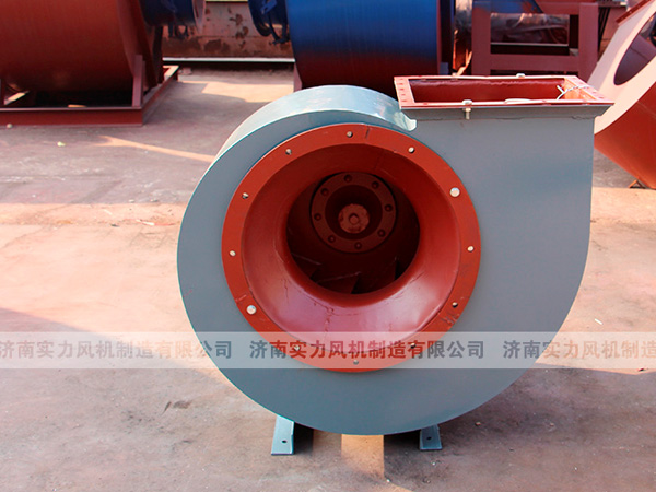 济南香蕉91视频APP下载