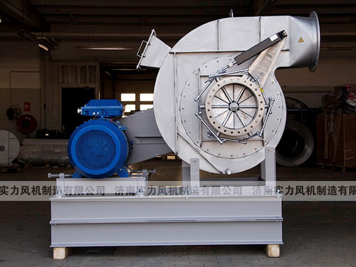 济南香蕉91视频APP下载