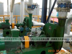 山东香蕉91视频APP下载厂