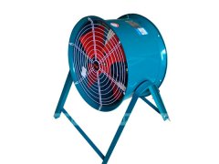 济南香蕉91视频APP下载