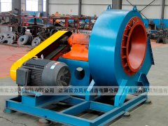 济南香蕉91视频APP下载