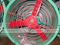 济南香蕉91视频APP下载