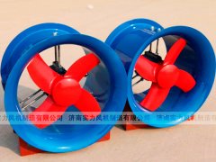 山东香蕉91视频APP下载