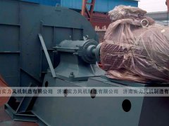 济南离心香蕉91视频APP下载