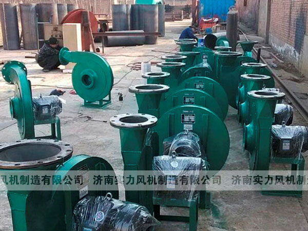 济南香蕉91视频APP下载