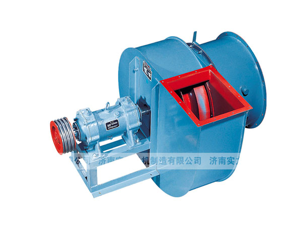 山东香蕉91视频APP下载