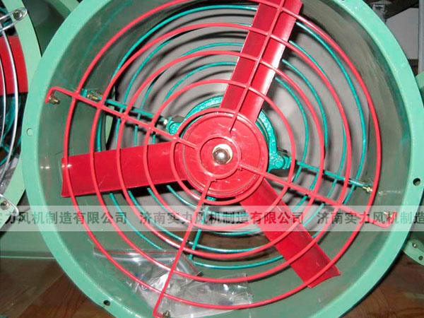 济南香蕉91视频APP下载