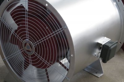 济南香蕉91视频APP下载