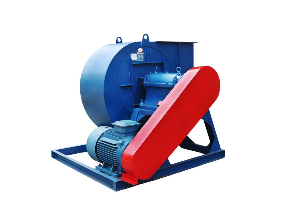 山东香蕉91视频APP下载