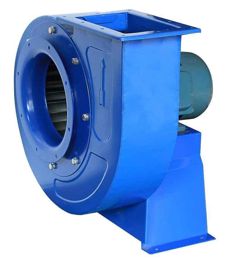 山东香蕉91视频APP下载