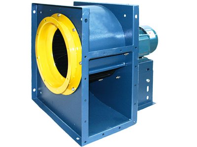 济南香蕉91视频APP下载厂