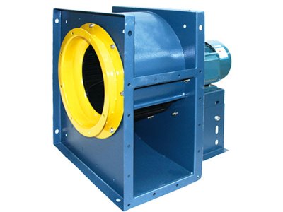 山东香蕉91视频APP下载