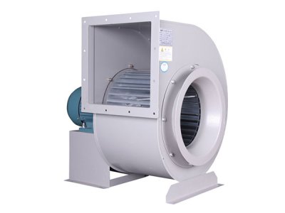 山东香蕉91视频APP下载