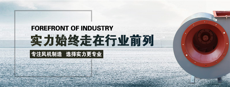 香蕉视频在线观看视频香蕉91视频APP下载香蕉视频在线观看视频展现